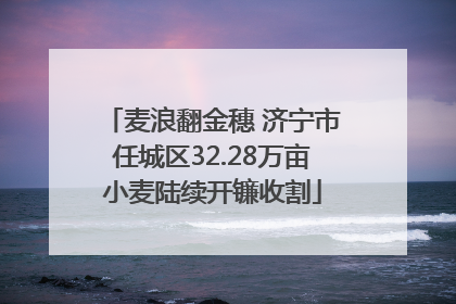麦浪翻金穗 济宁市任城区32.28万亩小麦陆续开镰收割