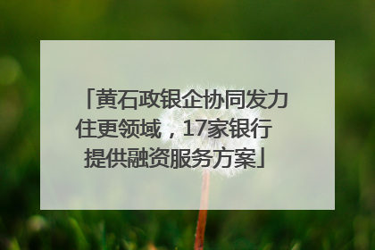 黄石政银企协同发力住更领域，17家银行提供融资服务方案