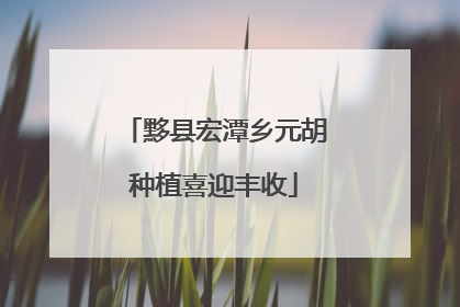 黟县宏潭乡元胡种植喜迎丰收