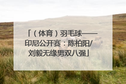 （体育）羽毛球——印尼公开赛：陈柏阳/刘毅无缘男双八强