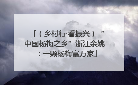 （乡村行·看振兴）“中国杨梅之乡”浙江余姚：一颗杨梅富万家