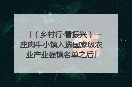 （乡村行·看振兴）一座肉牛小镇入选国家级农业产业强镇名单之后