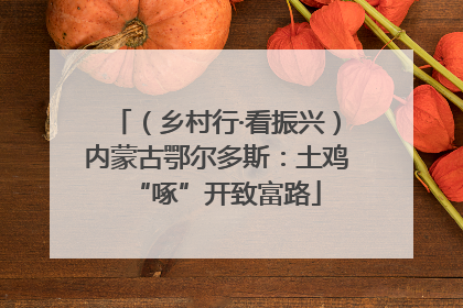 （乡村行·看振兴）内蒙古鄂尔多斯：土鸡“啄”开致富路