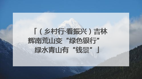 （乡村行·看振兴）吉林辉南荒山变“绿色银行” 绿水青山有“钱景”