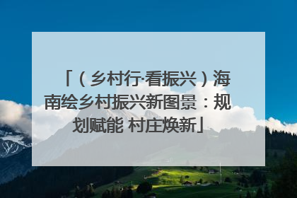 （乡村行·看振兴）海南绘乡村振兴新图景：规划赋能 村庄焕新