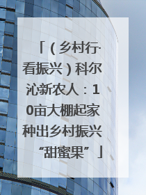 （乡村行·看振兴）科尔沁新农人：10亩大棚起家种出乡村振兴“甜蜜果”
