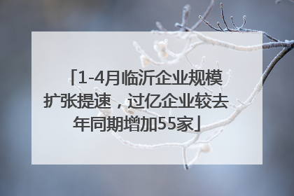 1-4月临沂企业规模扩张提速，过亿企业较去年同期增加55家