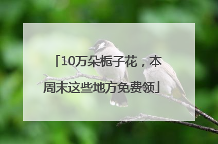 10万朵栀子花，本周末这些地方免费领