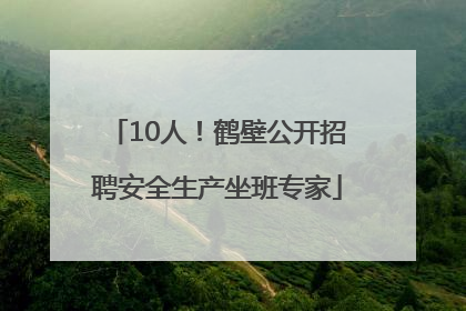 10人！鹤壁公开招聘安全生产坐班专家