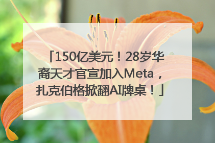 150亿美元！28岁华裔天才官宣加入Meta，扎克伯格掀翻AI牌桌！