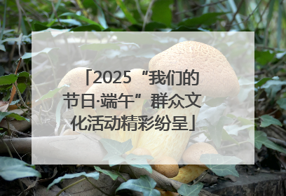 2025“我们的节日·端午”群众文化活动精彩纷呈