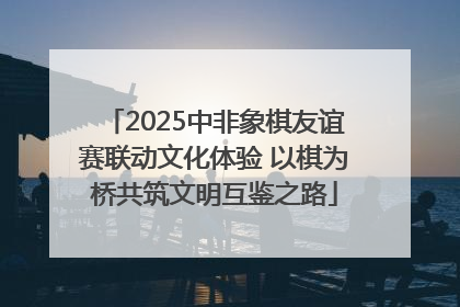 2025中非象棋友谊赛联动文化体验 以棋为桥共筑文明互鉴之路