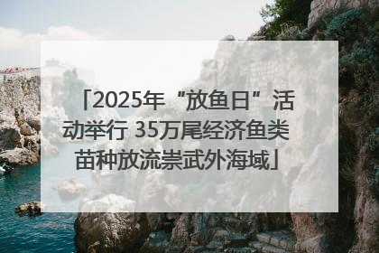 2025年“放鱼日”活动举行 35万尾经济鱼类苗种放流崇武外海域