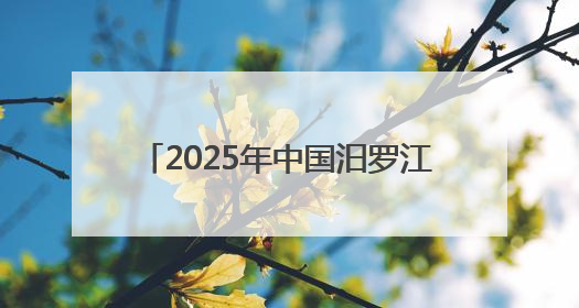 2025年中国汨罗江国际龙舟邀请赛开幕