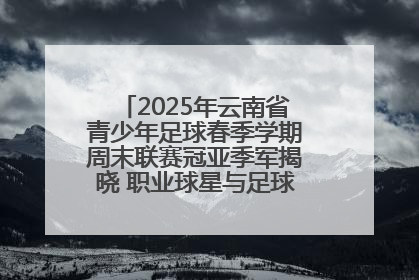 2025年云南省青少年足球春季学期周末联赛冠亚季军揭晓 职业球星与足球小将共享荣耀时刻