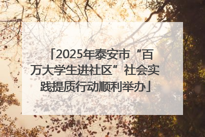 2025年泰安市“百万大学生进社区”社会实践提质行动顺利举办