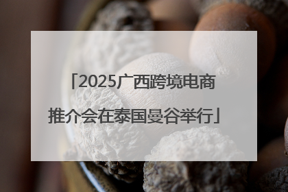 2025广西跨境电商推介会在泰国曼谷举行
