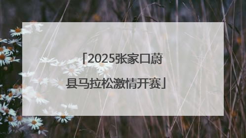 2025张家口蔚县马拉松激情开赛