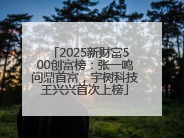 2025新财富500创富榜：张一鸣问鼎首富，宇树科技王兴兴首次上榜