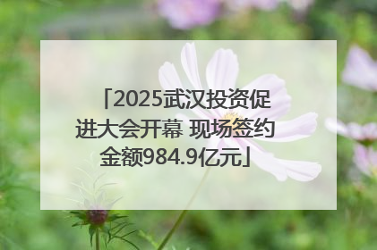 2025武汉投资促进大会开幕 现场签约金额984.9亿元