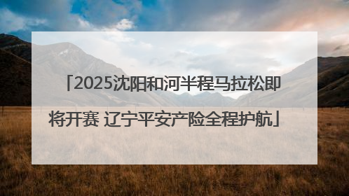 2025沈阳和河半程马拉松即将开赛 辽宁平安产险全程护航