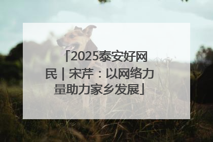 2025泰安好网民｜宋芹：以网络力量助力家乡发展