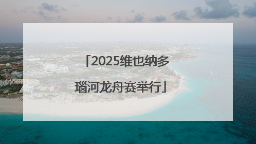 2025维也纳多瑙河龙舟赛举行