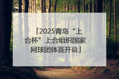 2025青岛“上合杯”上合组织国家网球团体赛开幕