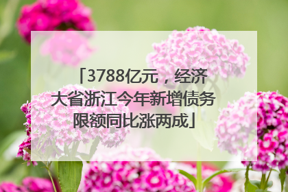 3788亿元，经济大省浙江今年新增债务限额同比涨两成