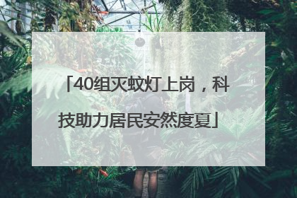 40组灭蚊灯上岗，科技助力居民安然度夏