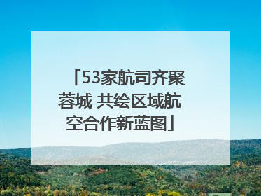53家航司齐聚蓉城 共绘区域航空合作新蓝图