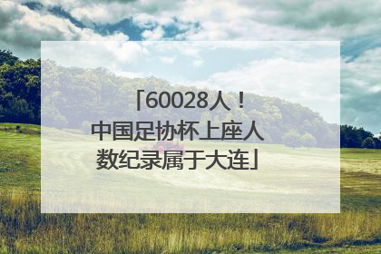 60028人！中国足协杯上座人数纪录属于大连