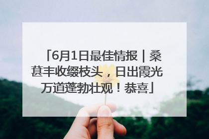 6月1日最佳情报｜桑葚丰收缀枝头，日出霞光万道蓬勃壮观！恭喜