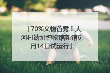 70%文物首秀！大河村遗址博物馆新馆6月14日试运行